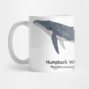 Endangered animals of Australia - Humpback Whale (Megaptera novaeangliae) Mug